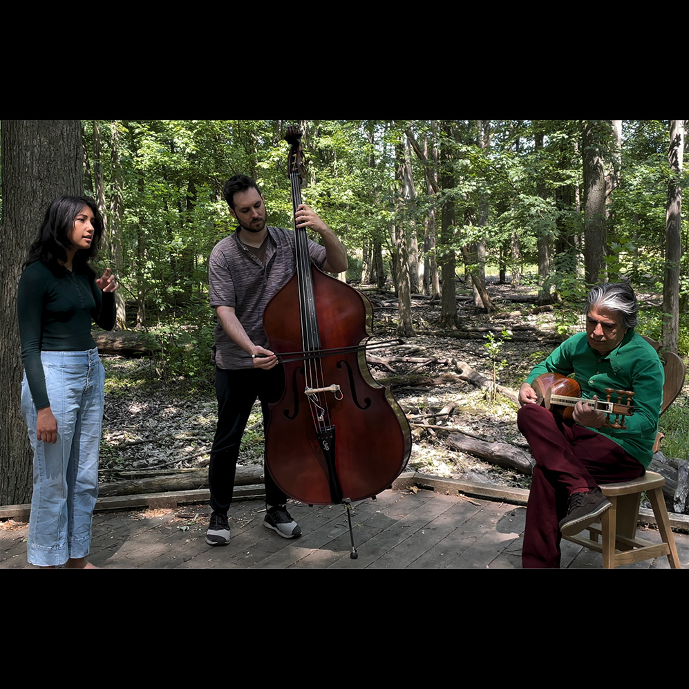 Photo of a woman standing and two men playing string instruments in the Arboretum (Ben Finley, Annais Linares, Reza Yasdapaneh, Michelle Beltran)