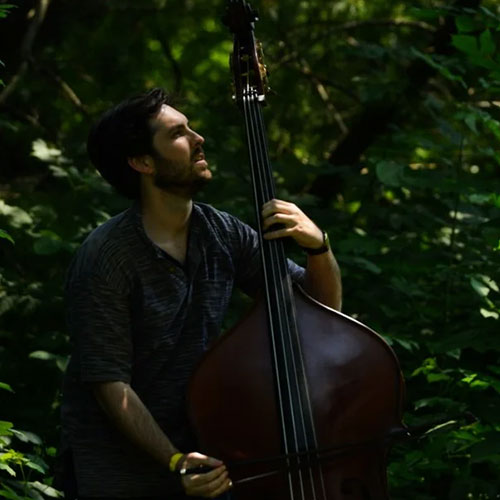 A man with brown hair plays an upright bass in some shady woods.